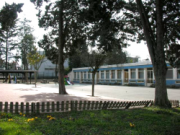 maternelle-bouton